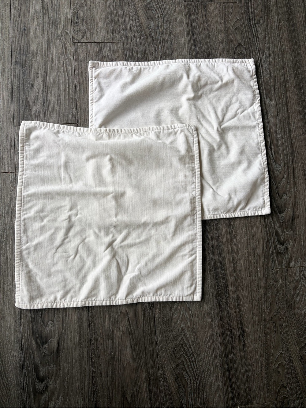 POTTERY BARN VELVET PILLOW CASES